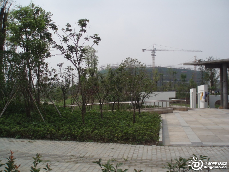 P9126054_С.JPG
