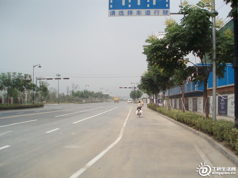 P9126019_С.JPG