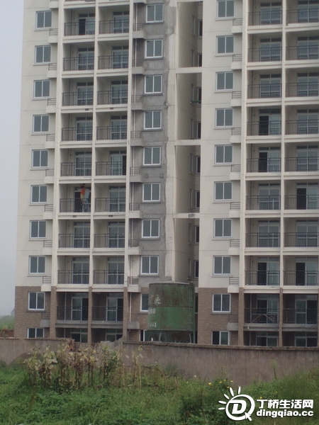 P9126068_С.JPG