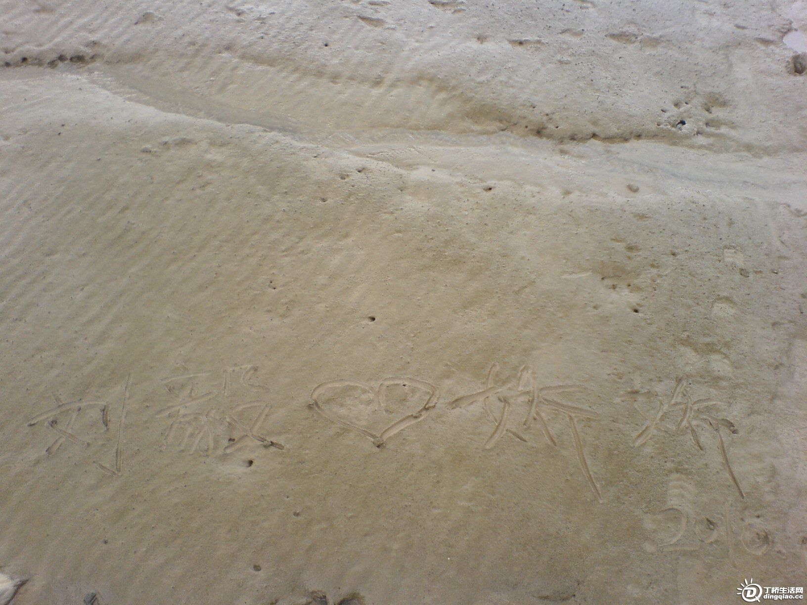 DSC06044.JPG