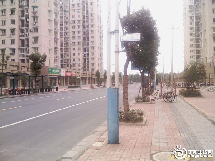 IMAG0025.jpg