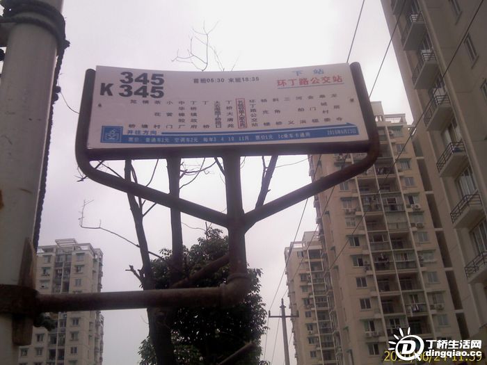 IMAG0024.jpg