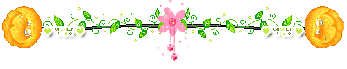 2008050101510840.gif