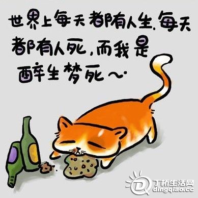 20091224962350.jpg