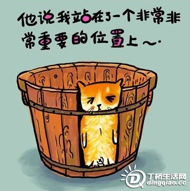20091224964150.jpg