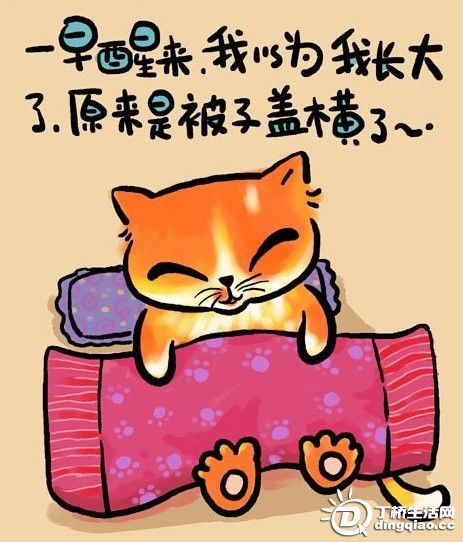 20091224971050.jpg