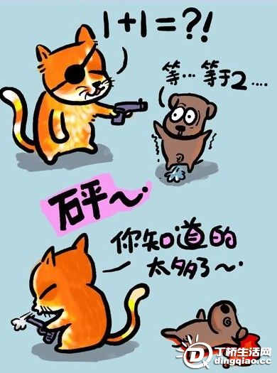 20091224972550.jpg