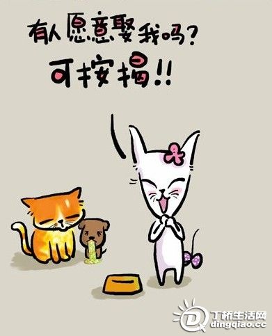 20091224973250.jpg
