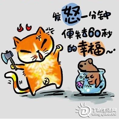 20091224984250.jpg