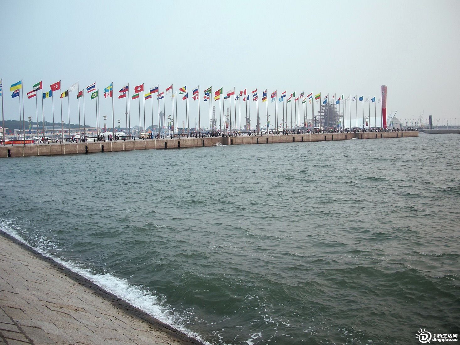 200910198504831.jpg