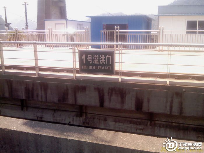IMAG0164.jpg