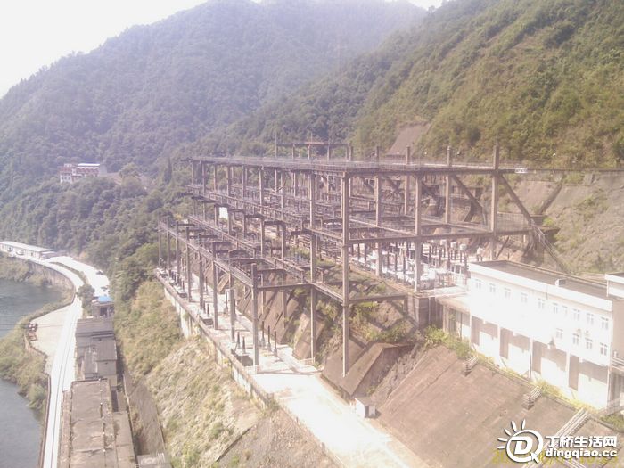 IMAG0172.jpg
