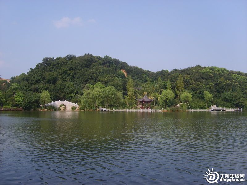 S6000013_СС.JPG