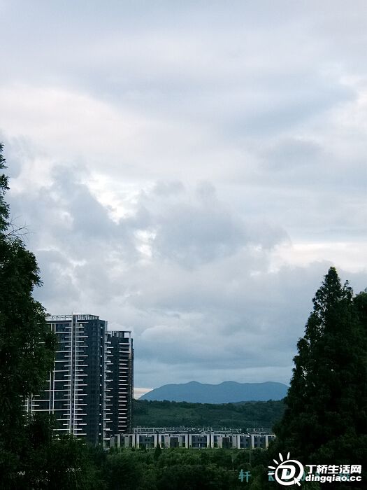20100806_4564b8cfb7836c6e93b6glLLSeEqSHV7.jpg