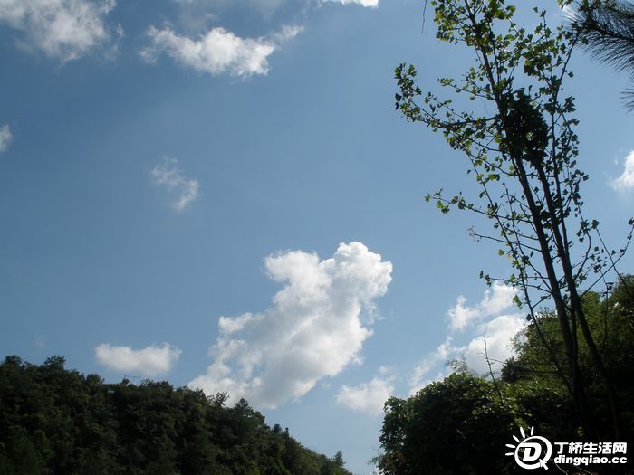 P8070064.JPG
