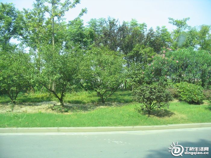 Ƭ 003.jpg