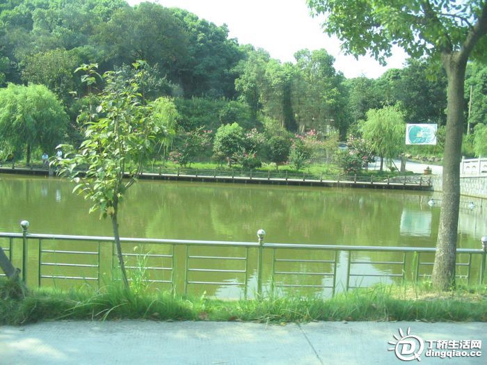 Ƭ 013.jpg