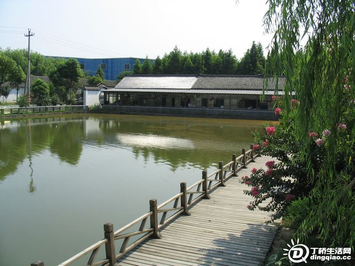Ƭ 028.jpg