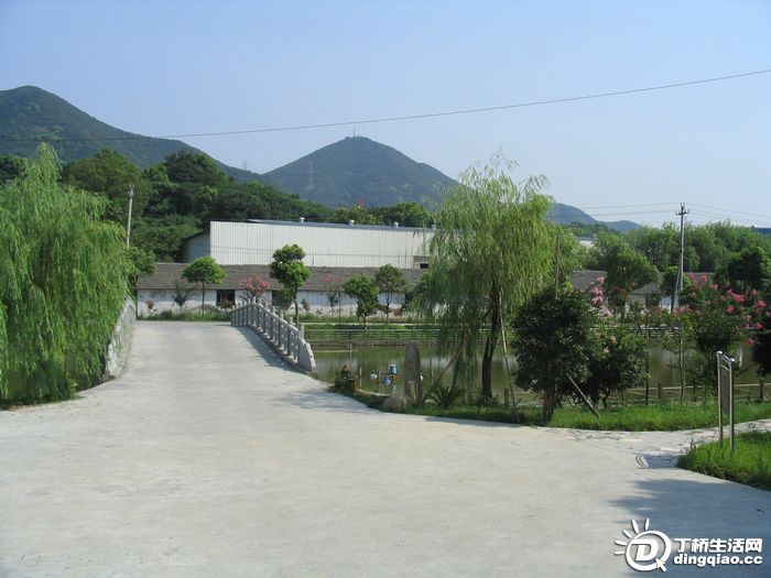 Ƭ 030.jpg