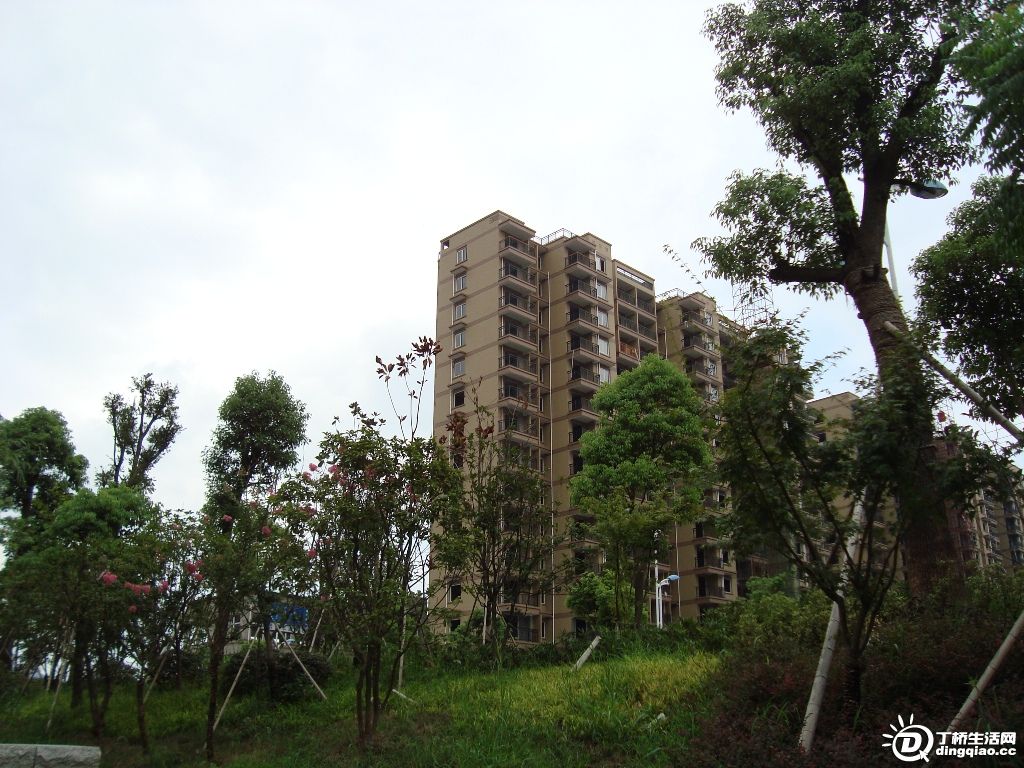 DSC00033.JPG
