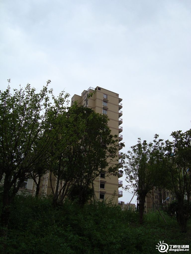 DSC00038.JPG