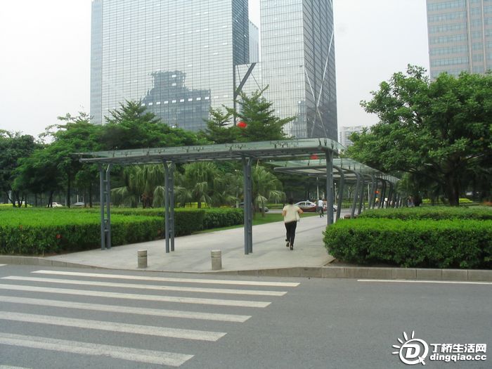 Ƭ 224.jpg