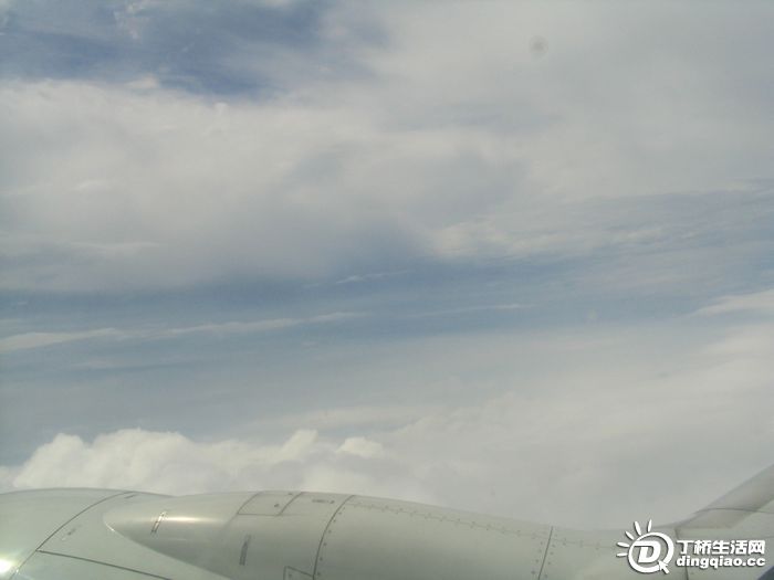 Ƭ 031.jpg