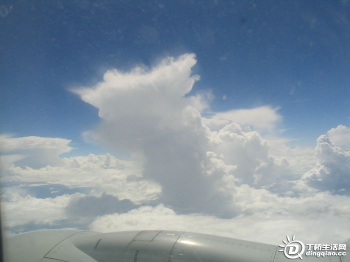 Ƭ 038.jpg
