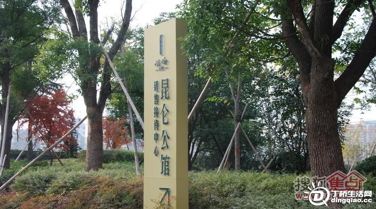 a_53493177.jpg