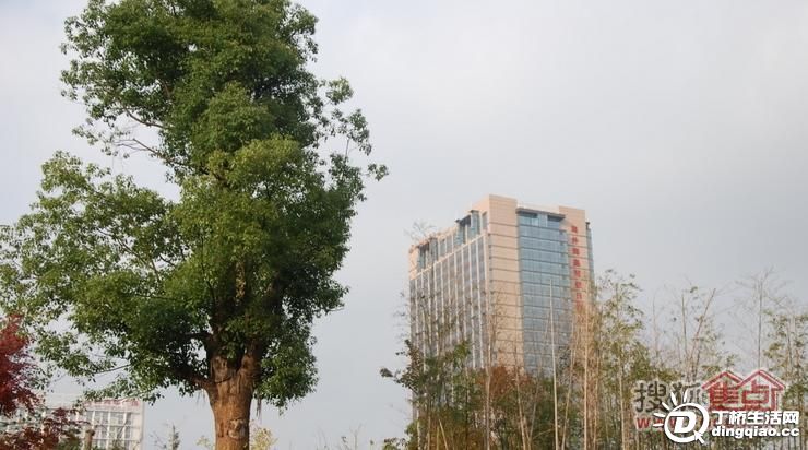 b_53492790.jpg
