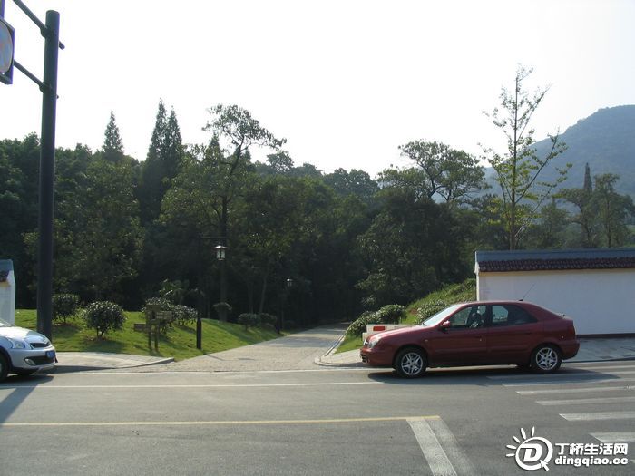 Ƭ 010.jpg