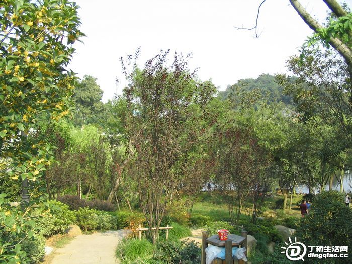 Ƭ 009.jpg