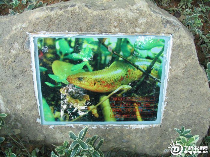 Ƭ 038.jpg