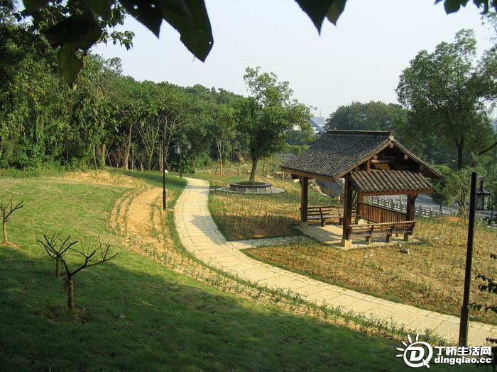 Ƭ 029.jpg