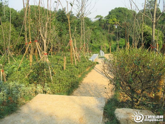 Ƭ 042.jpg