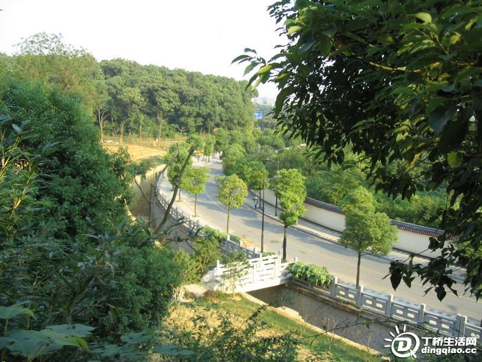 Ƭ 058.jpg