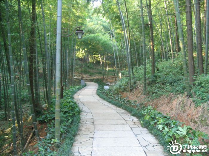 Ƭ 056.jpg