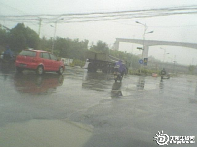 IMG0063A.jpg