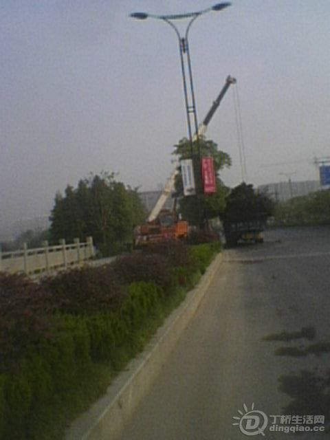 IMG0082A.jpg