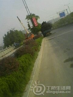 IMG0081A.jpg
