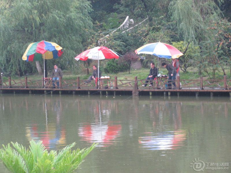 Ƭ-197.jpg