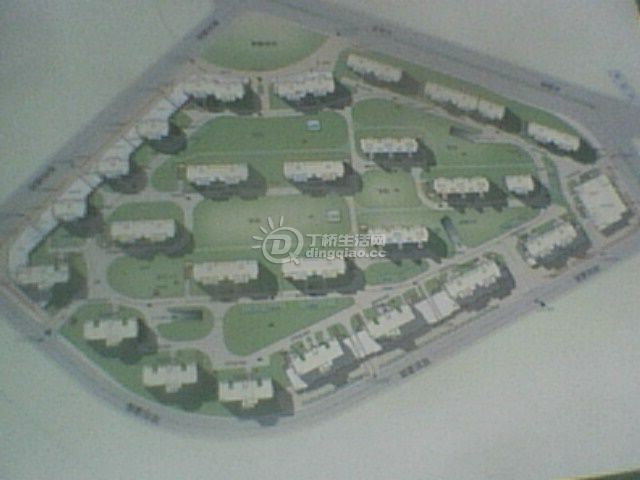 IMG0106A.jpg
