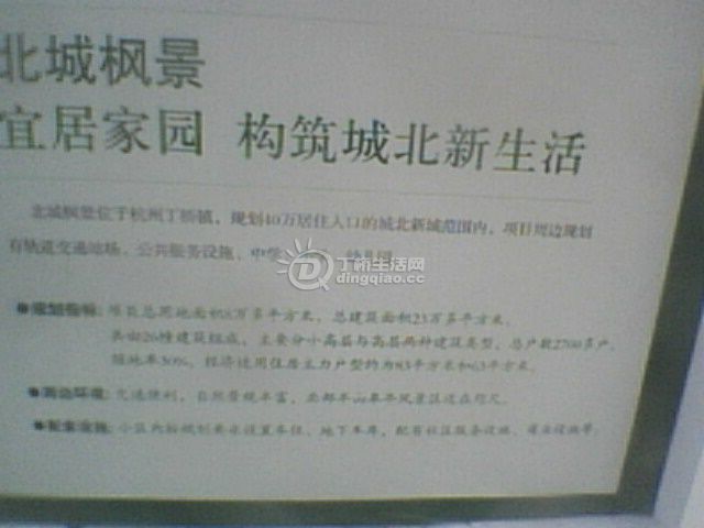 IMG0105A.jpg