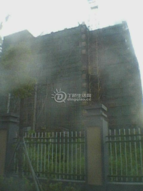 IMG0108A.jpg