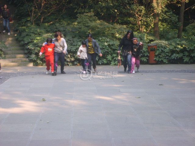 S6000035.JPG