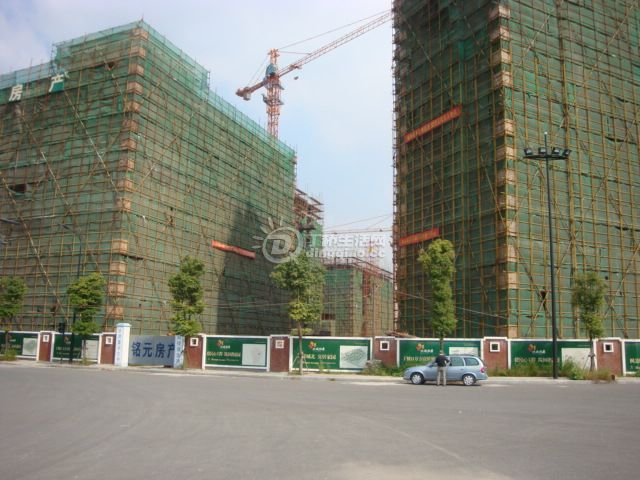 DSC02554.JPG