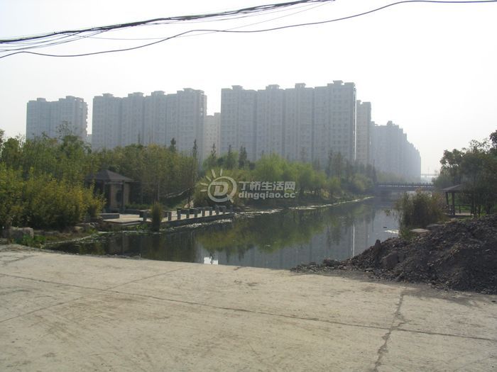 Ƭ 019.jpg
