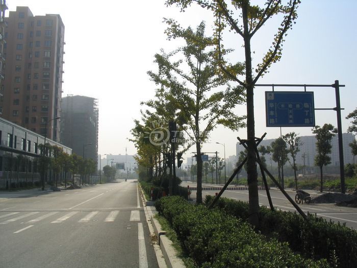 Ƭ 029.jpg