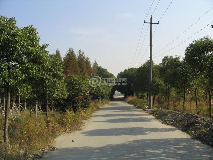 Ƭ 037.jpg