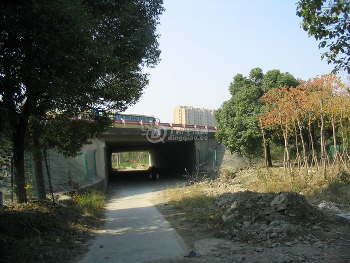 Ƭ 038.jpg
